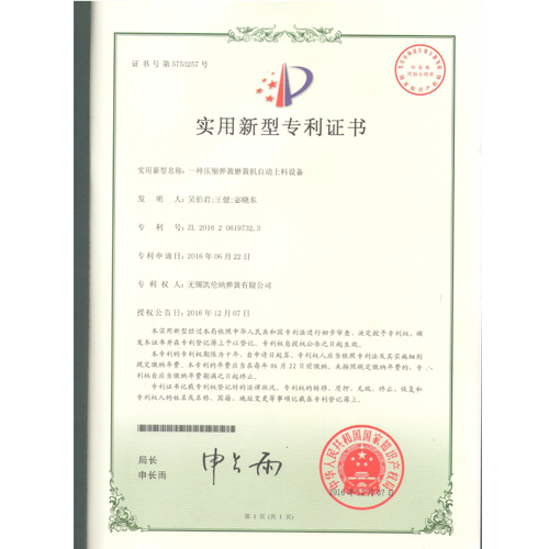 江蘇一種壓縮彈簧磨簧機自動上料設備